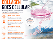 OpoBio_Global_Collagen_Media_Slide