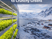 Greenland - From Geopolitics to Crunchy Greens visual media slide