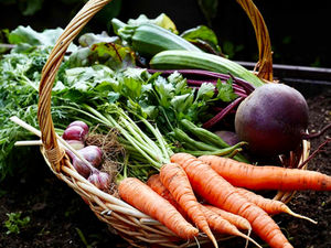 Your Green Thumb Could Harvest Big Savings As Veggie Costs Climb