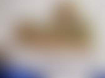 San fernando presenta 5cina