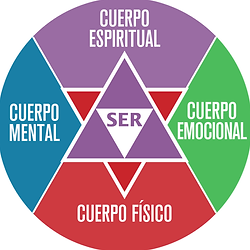 NutriNati_-_Gráficos_30_Nutrucion_SER.pn