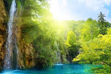 bosque-cascada,-lago-en-el-bosque,-agua-