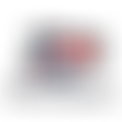 Blue and red "250" graphic with a mountain motif, above the text "We the Students."