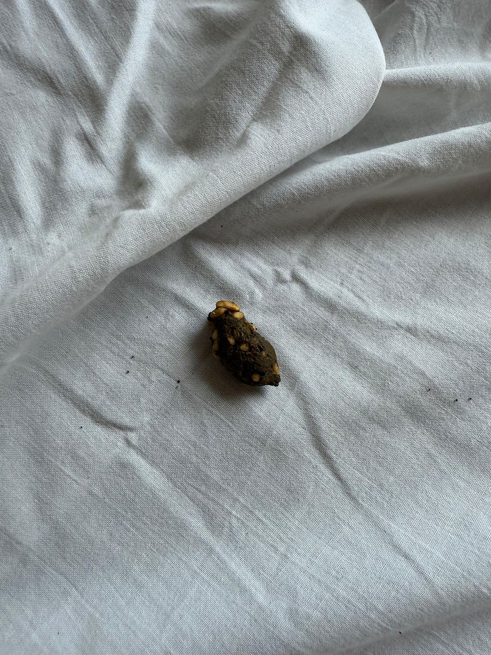 Toen wij wilde gaan slapen lag ons nog een leuke verrassing te wachten op bed.... Een aap was onze slaapkamer ingekomen en had de klamboe na zijn behoefte weer netjes toegestopt. Africa life!