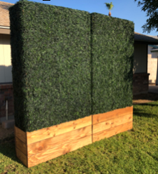 Thumbnail: Boxwood Hedge Walls