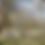 Thumbnail: Helicopter Ride in the Hunter Valley