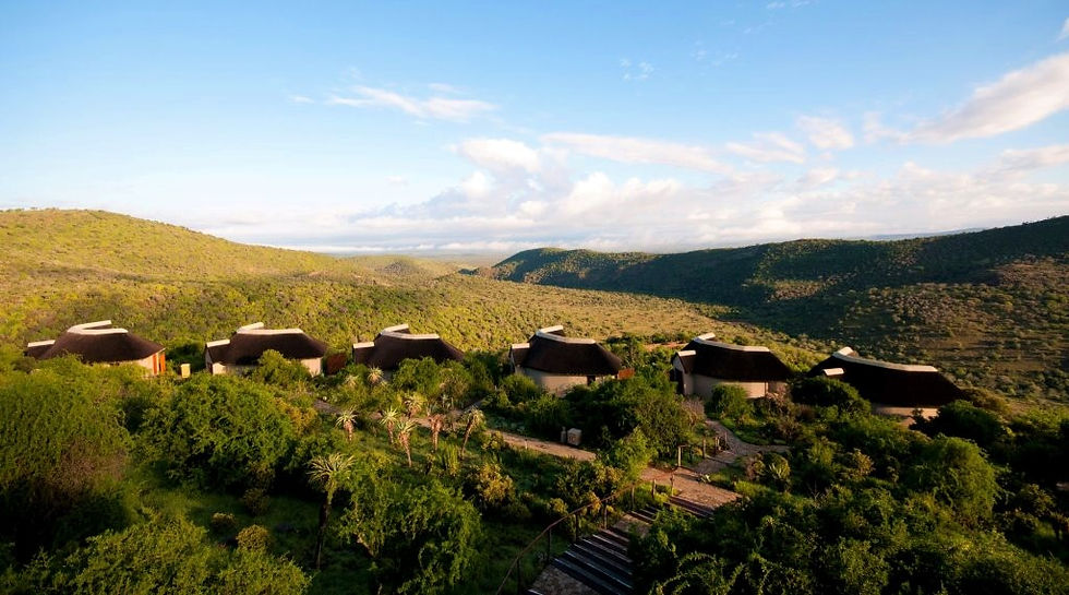 Thumbnail: Amazing South African Safari for 2