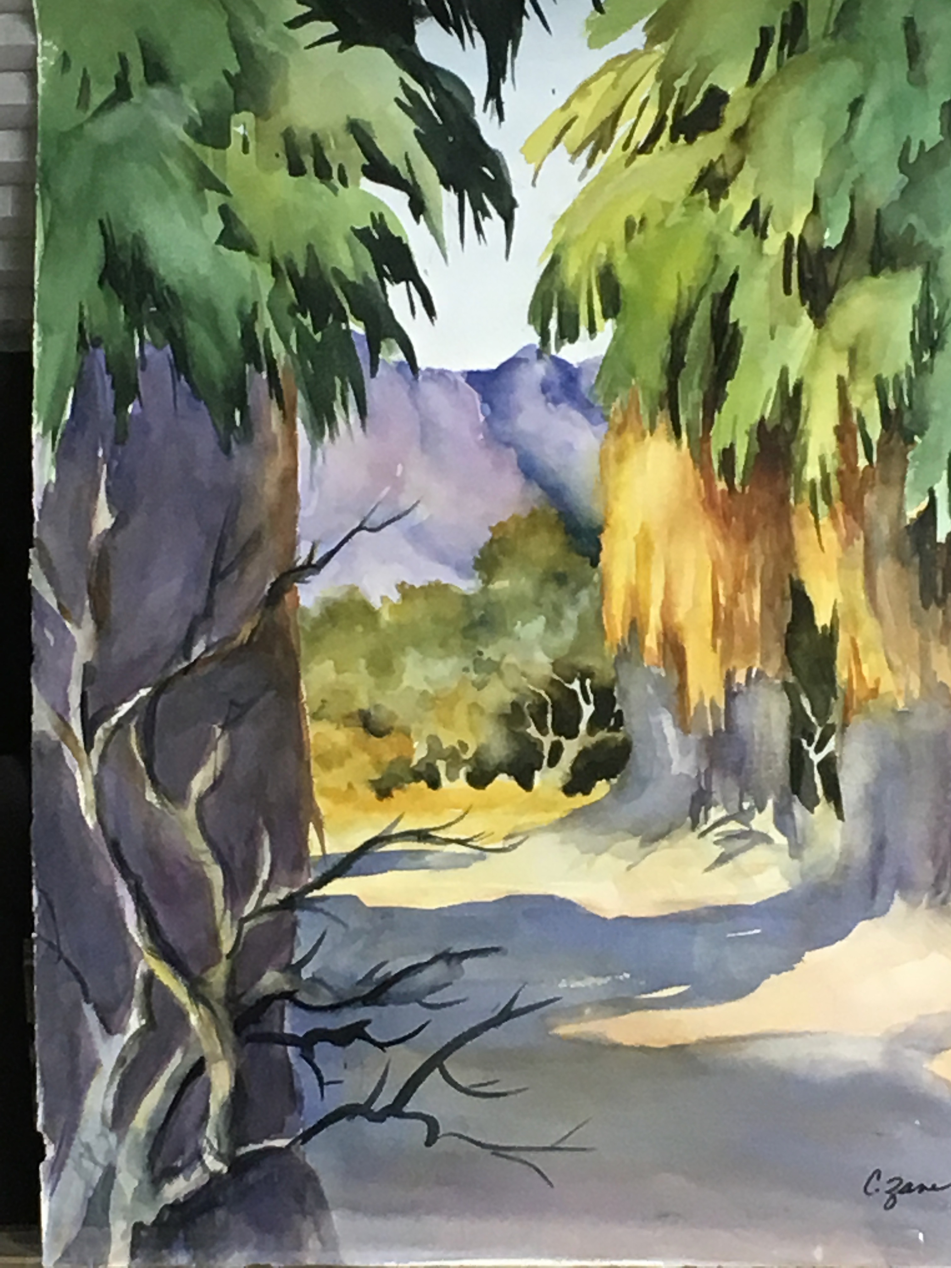 Oasis Shadows
