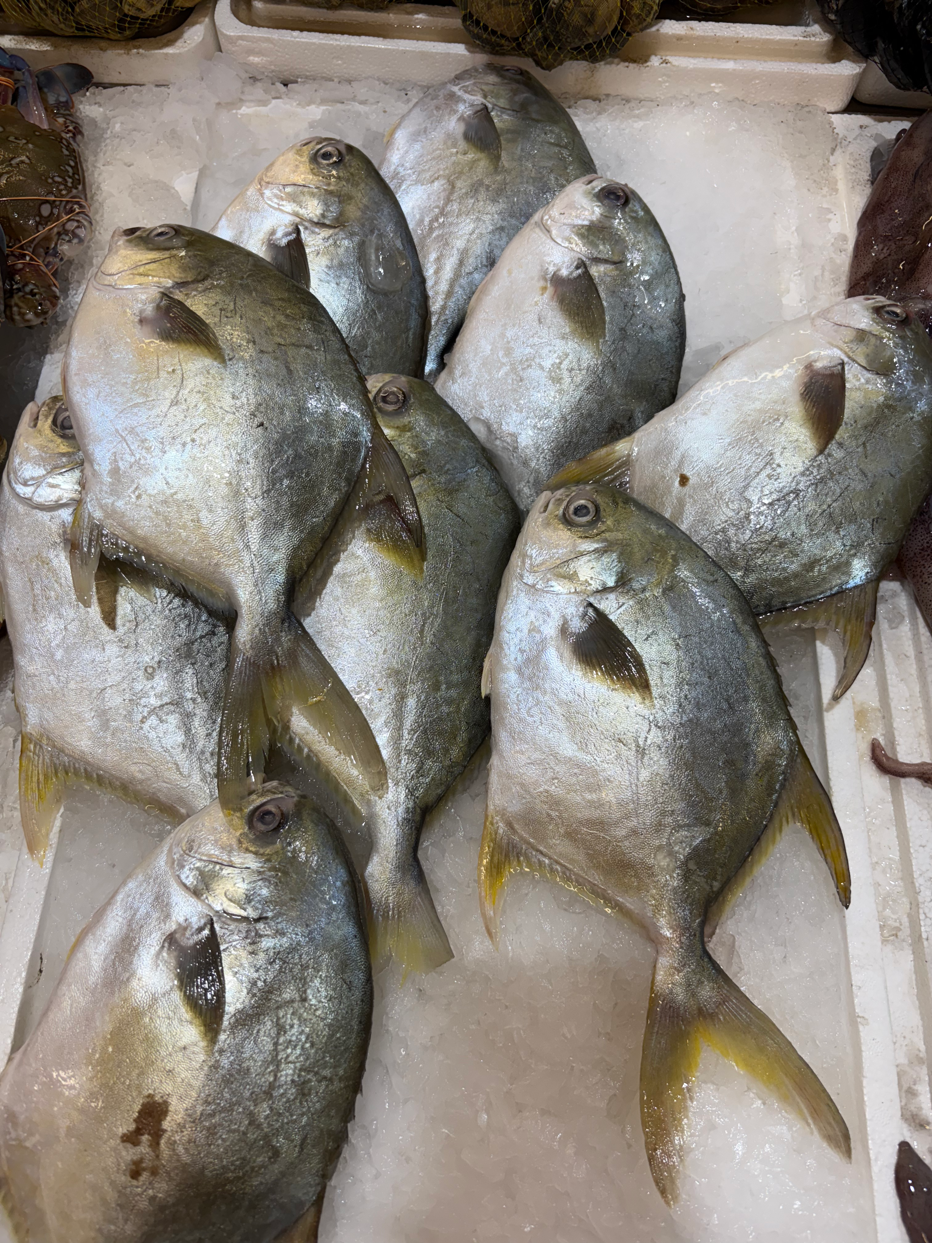 深海金鲳鱼(1kg)