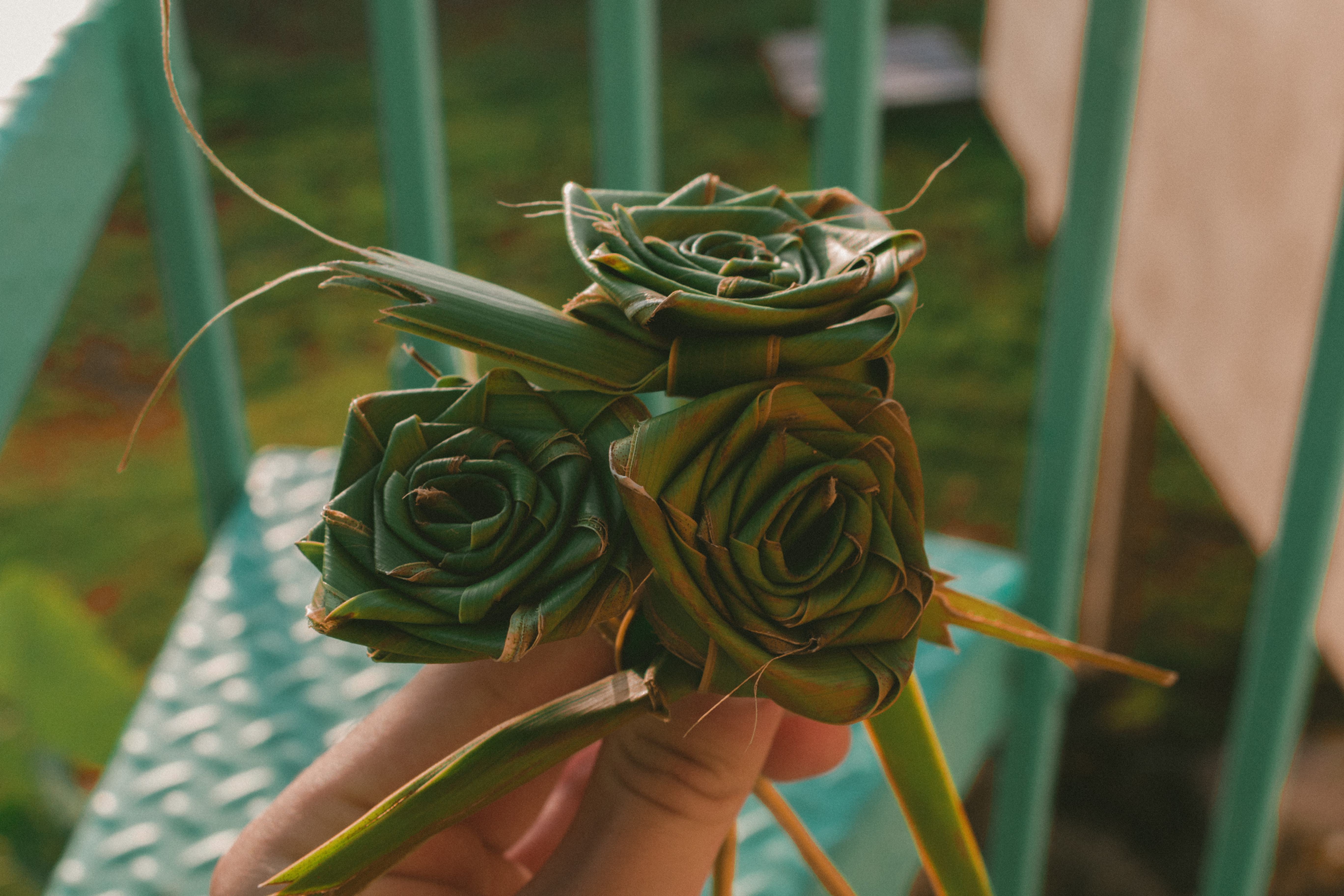 Coconut Rose
