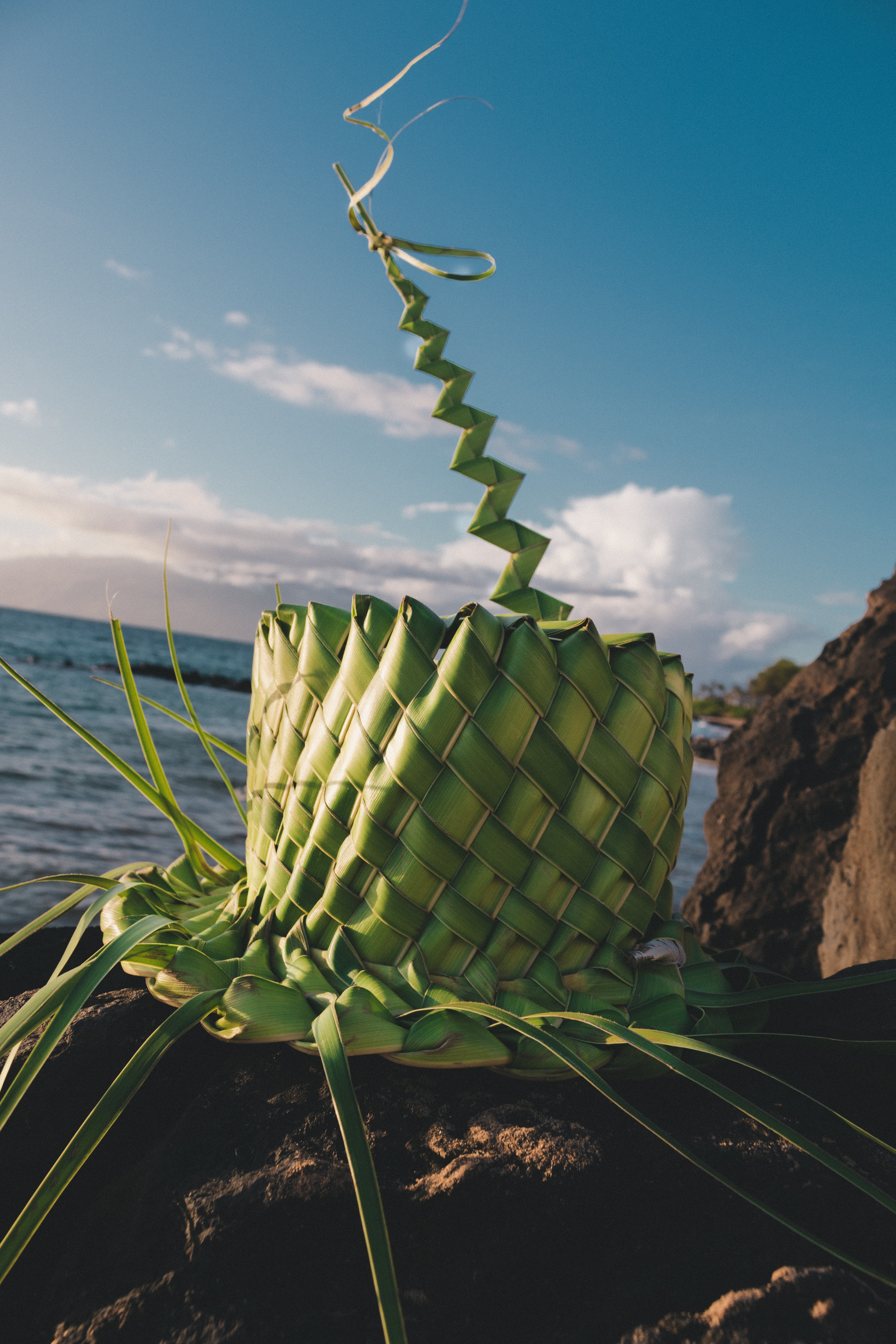 Hawaiian Top Hat