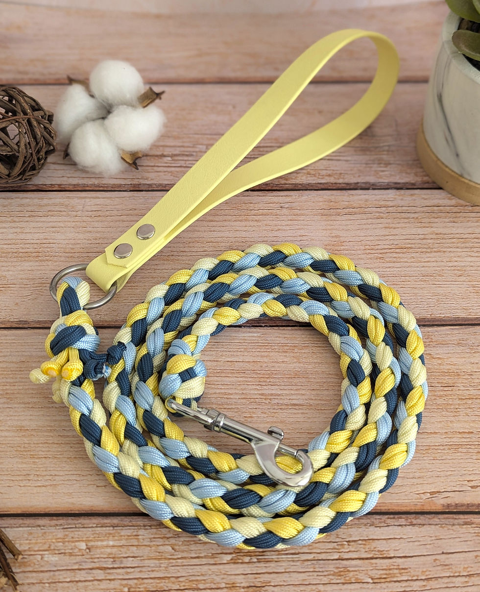 Miniature : Laisse Paracorde