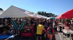 こでまＨ２８１０