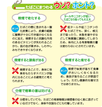 image4.gif