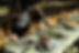 20230910-DSC00145.jpg
