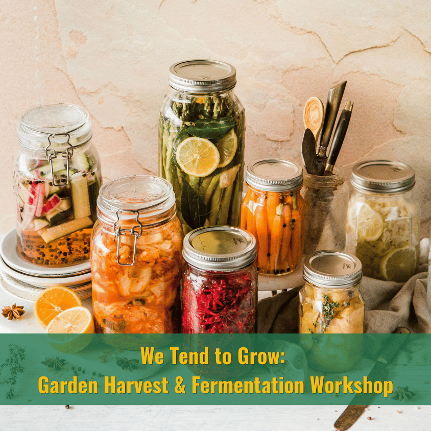 We Tend to Grow: Garden Harvest & Fermentation Workshop