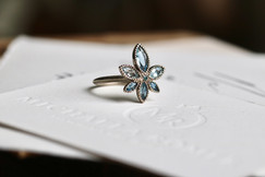 snow FLAKE