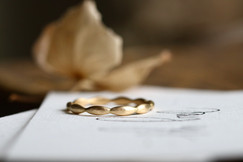 IMG_8587.jpeg