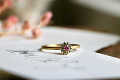 IMG_1753.jpeg