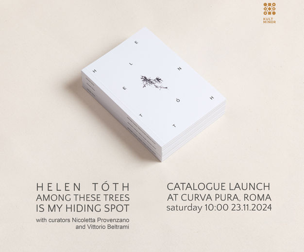 art
catalogue
contemporary
painting

helen tóth
publication