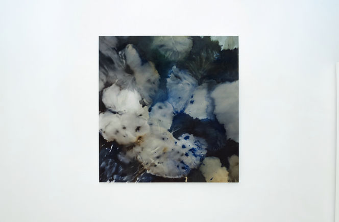 helen tóth, painting, high tatras, forest, oil on canvas, contemporary art