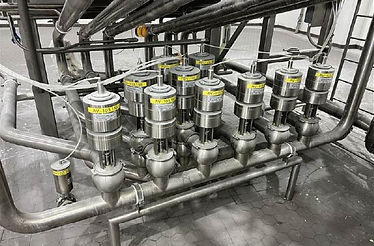 Valve Cluster.jpg