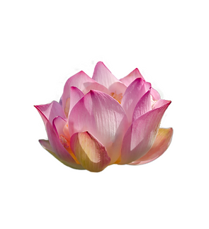 Diseño sin título (9).png