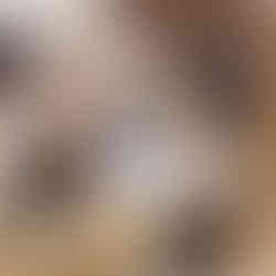 夕日ヶ丘ひまわり保育園