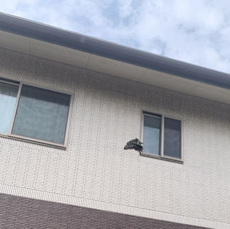 夕日ヶ丘ひまわり保育園