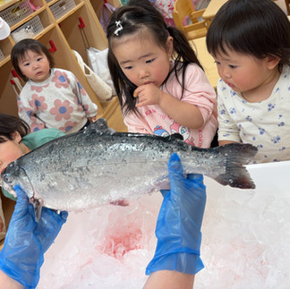 夕日ヶ丘ひまわり保育園