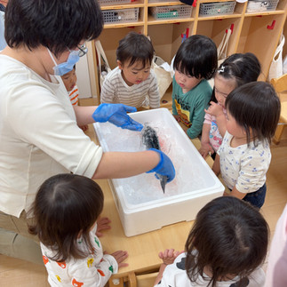 夕日ヶ丘ひまわり保育園