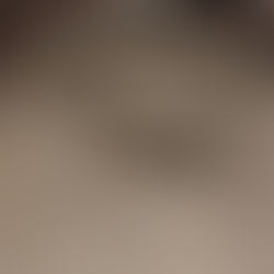 The Death of Poe: Medical Mystery or Violent Voter Fraud?