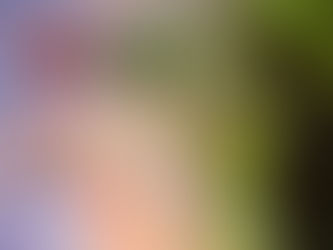 Wicked: For Good ... or Bad?