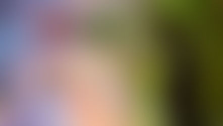 Wicked: For Good ... or Bad?