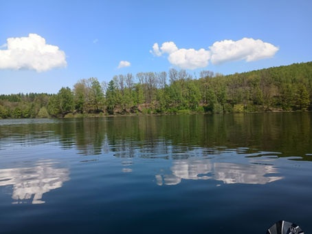 ein ruhiger See, in dem sich die grünen Bäume und die weißen Wolken spiegeln