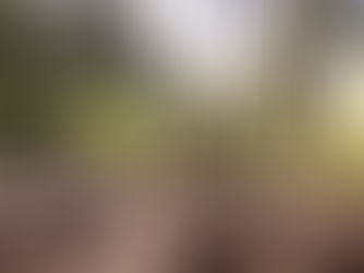 Bänke im Wald, Mann mit ausgestreckten Armen genießt die Leichtigkeit des Seins - Freiheitsgefühl