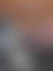 Eichhörnchen auf dem Tisch 