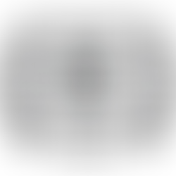 Rocky Mountain Film Festival