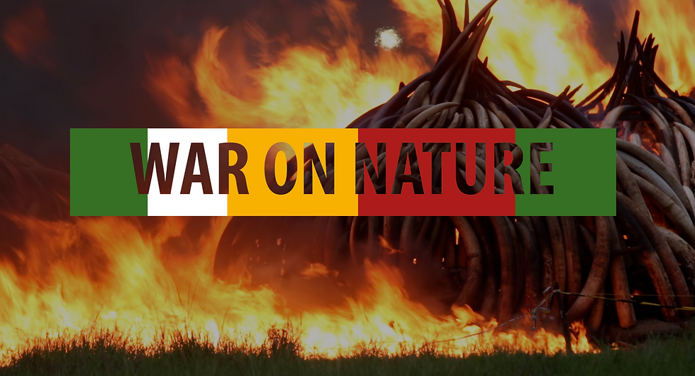 WON _edited_edited_edited.png