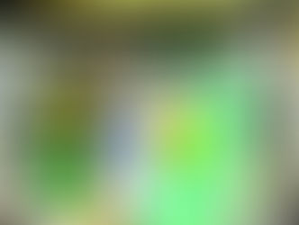 Lutador define Anderson Silva no taekwondo como 'jogada de mídia'