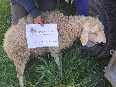 İyilik Hareketi Gönüllüsü, Peruze Ayhan Eşiyok hayrına, Allah rızası için kestirilen adak kurbanını ihtiyaç sahibi ailelere dağıttık.