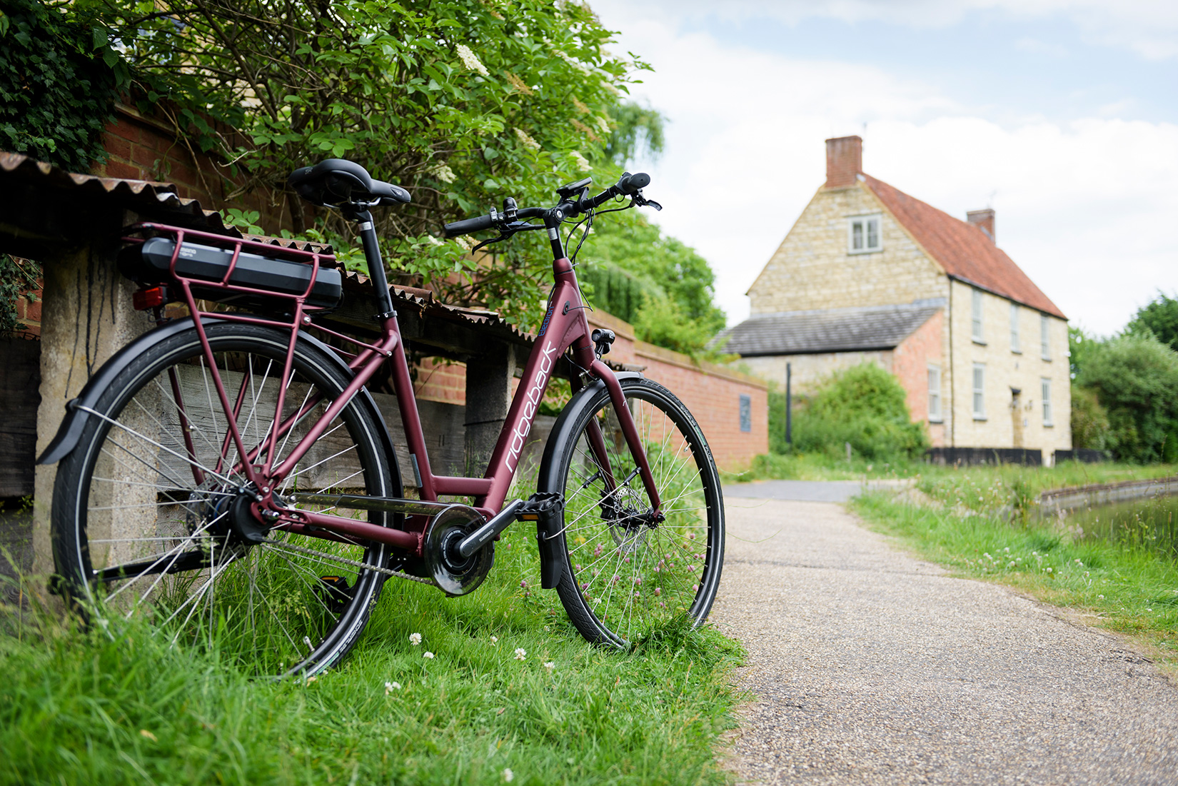 ridgeback electron di2