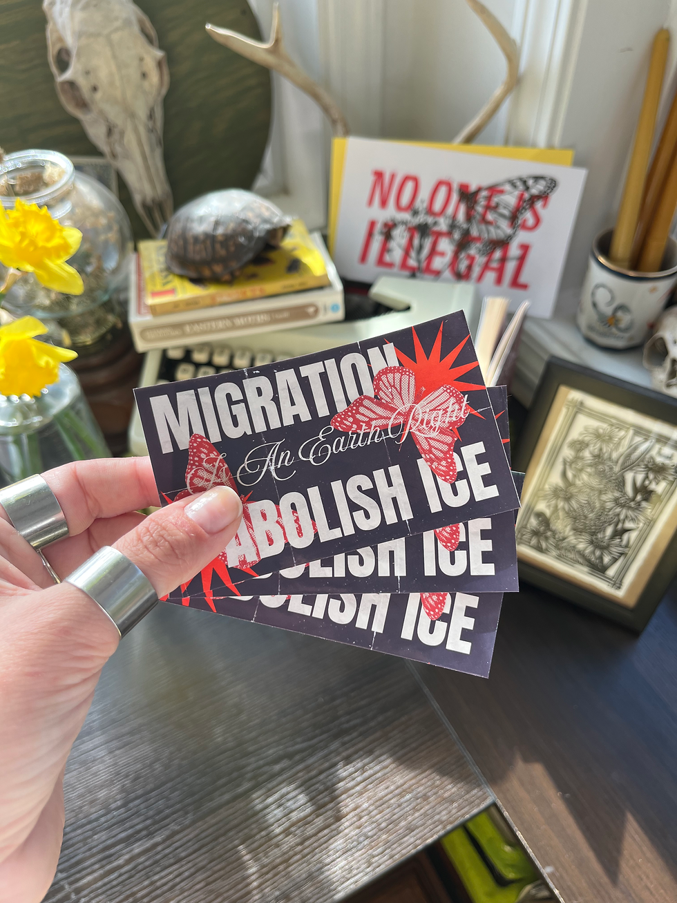 Thumbnail: MIGRATION IS AN EARTH RIGHT (VER 1) ✷