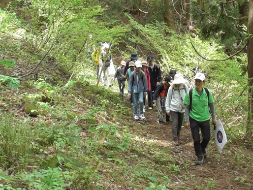 ふるさとの山へ――新緑の中のにぎやかな登山体験