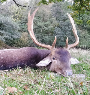 Capture d’écran 2023-02-22 114137.png