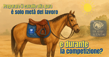 Preparare il cavallo alla gara è solo metà del lavoro: e durante la competizione?