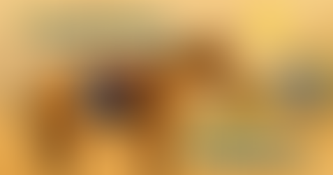 Preparare il cavallo alla gara è solo metà del lavoro: e durante la competizione?