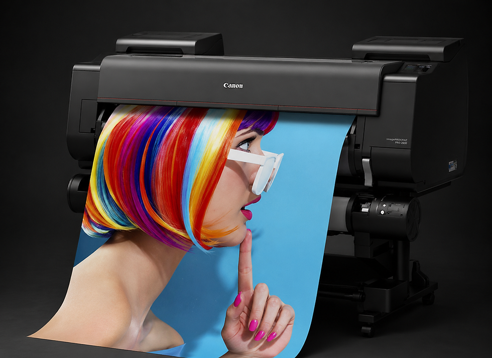 stampa grandi formati veloce