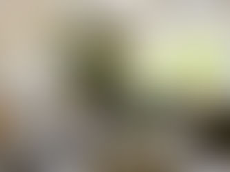 Living Room Interior in Harpenden