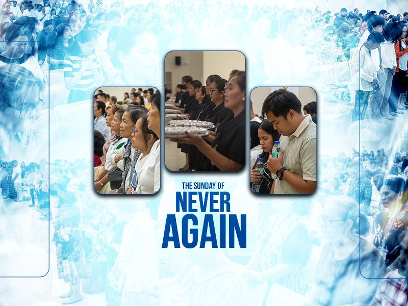 Sunday of Never Again Highlights